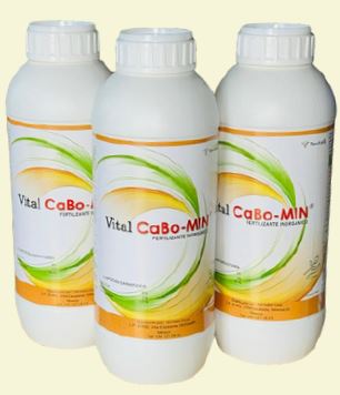 VITAL CABO-MIN